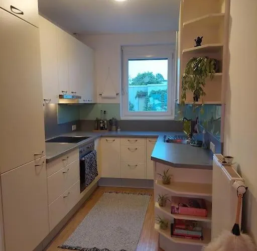 Appartement Schoene Helle Mit Whirlpoolbadewanne Graz